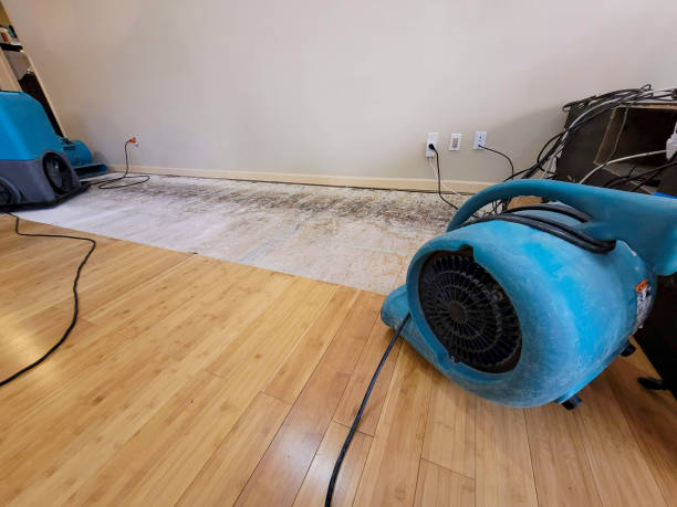 Professional Water Damage Repair technician working in Cataula, GA